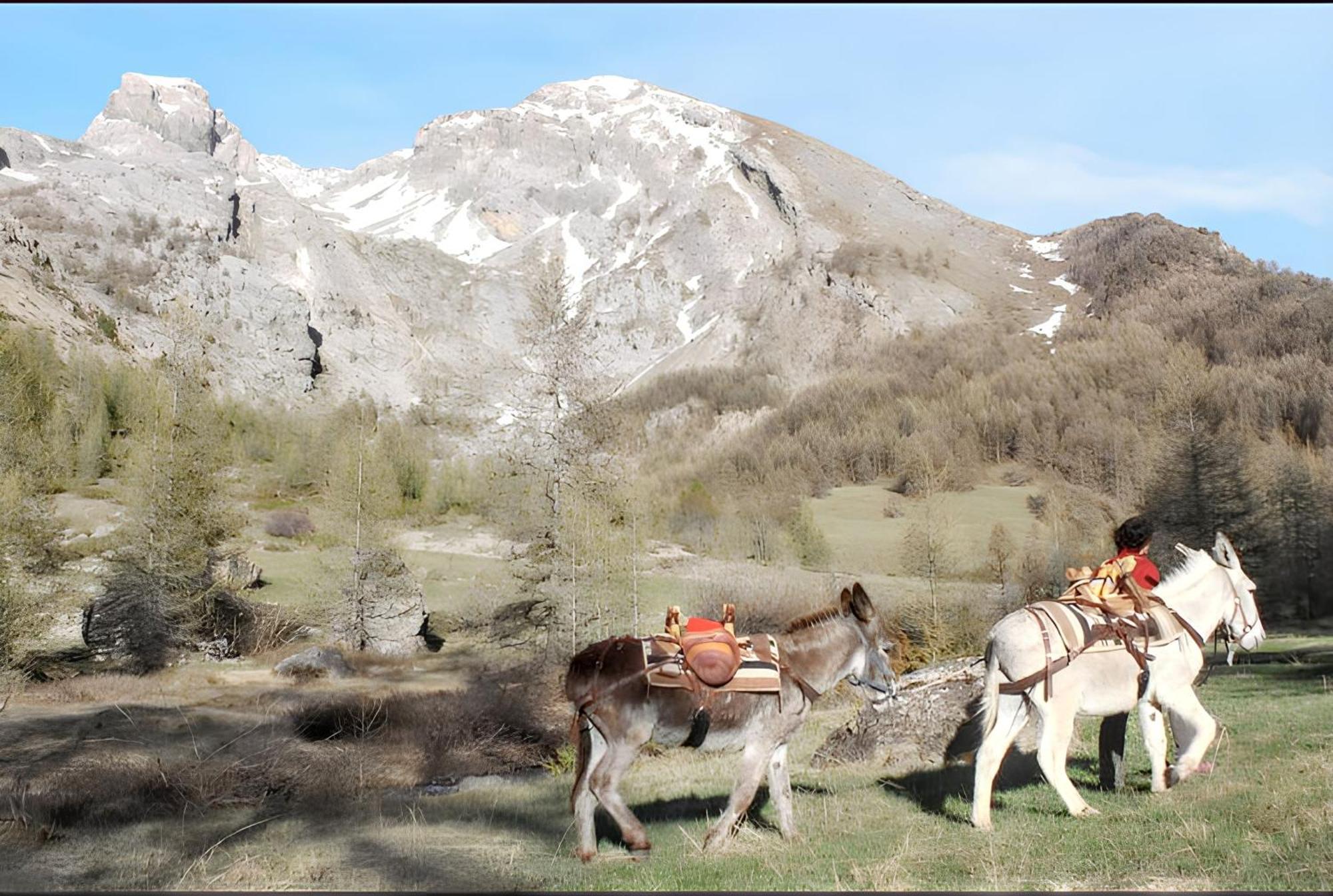 Studio Chaleureux A Uvernet Fours 25M² Avec Vue Montagne Exterior foto